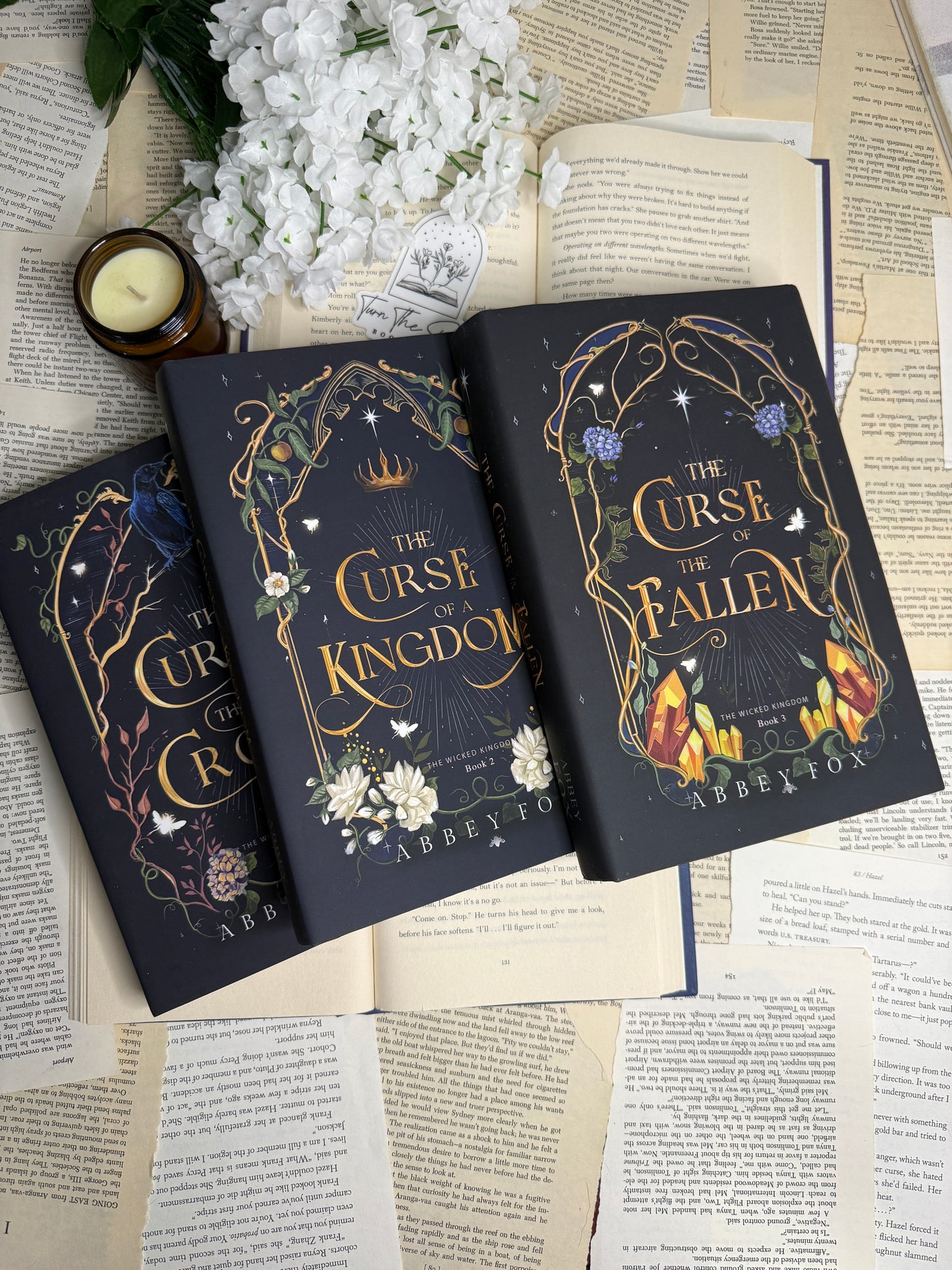 The Wicked Kingdom Series Set by Abbey Fox