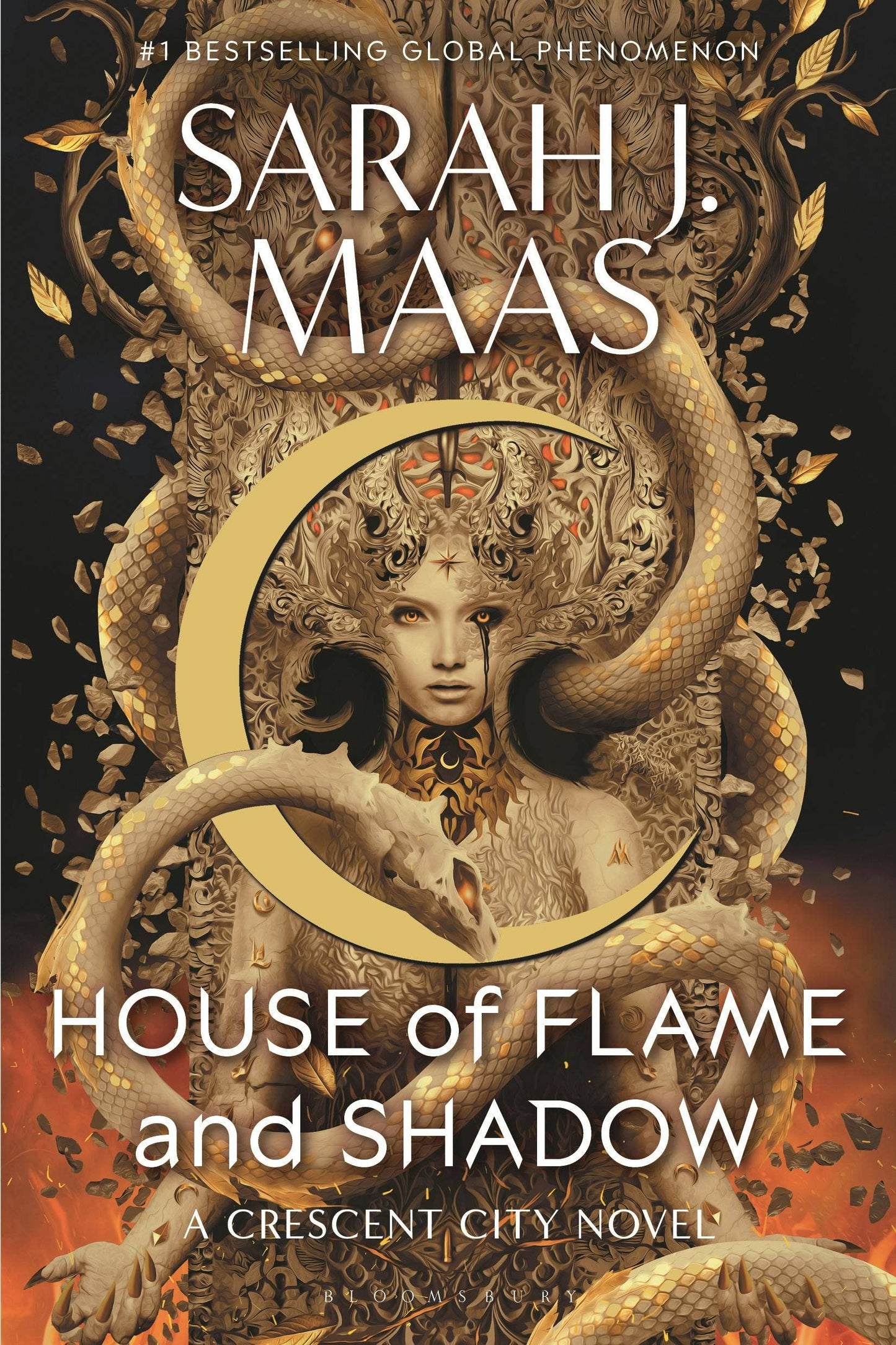 Flame And Shadow by Sarah J Maas