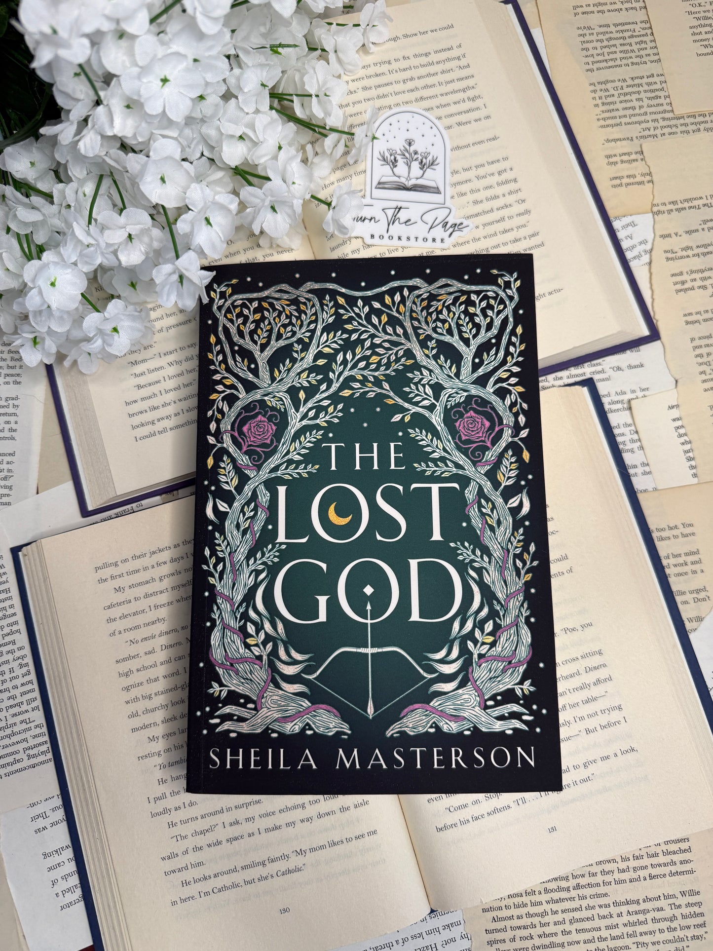 The Lost God by Shelia Masterson
