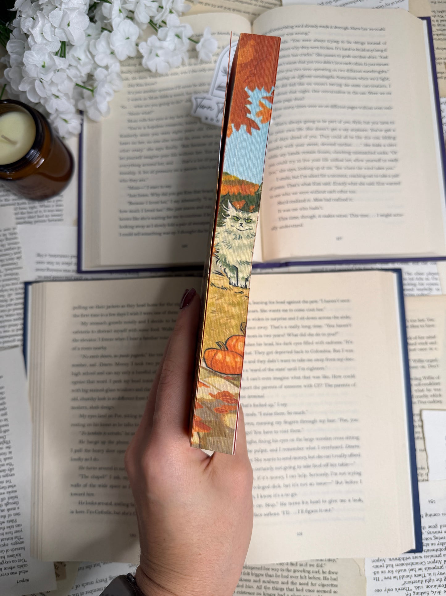 Fall At Once by Nora Everly - Deluxe Edition