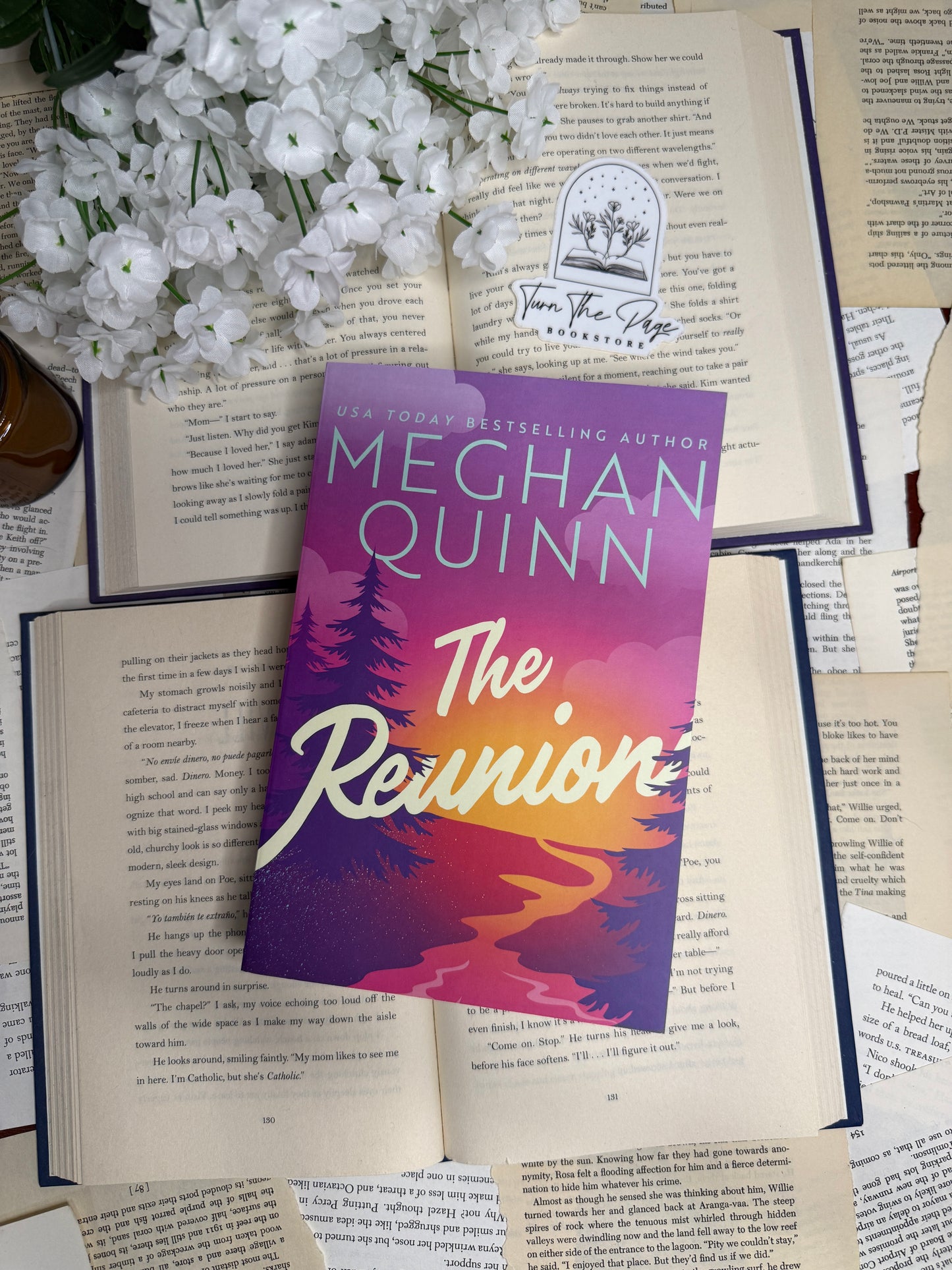 The Reunion by Meghan Quinn