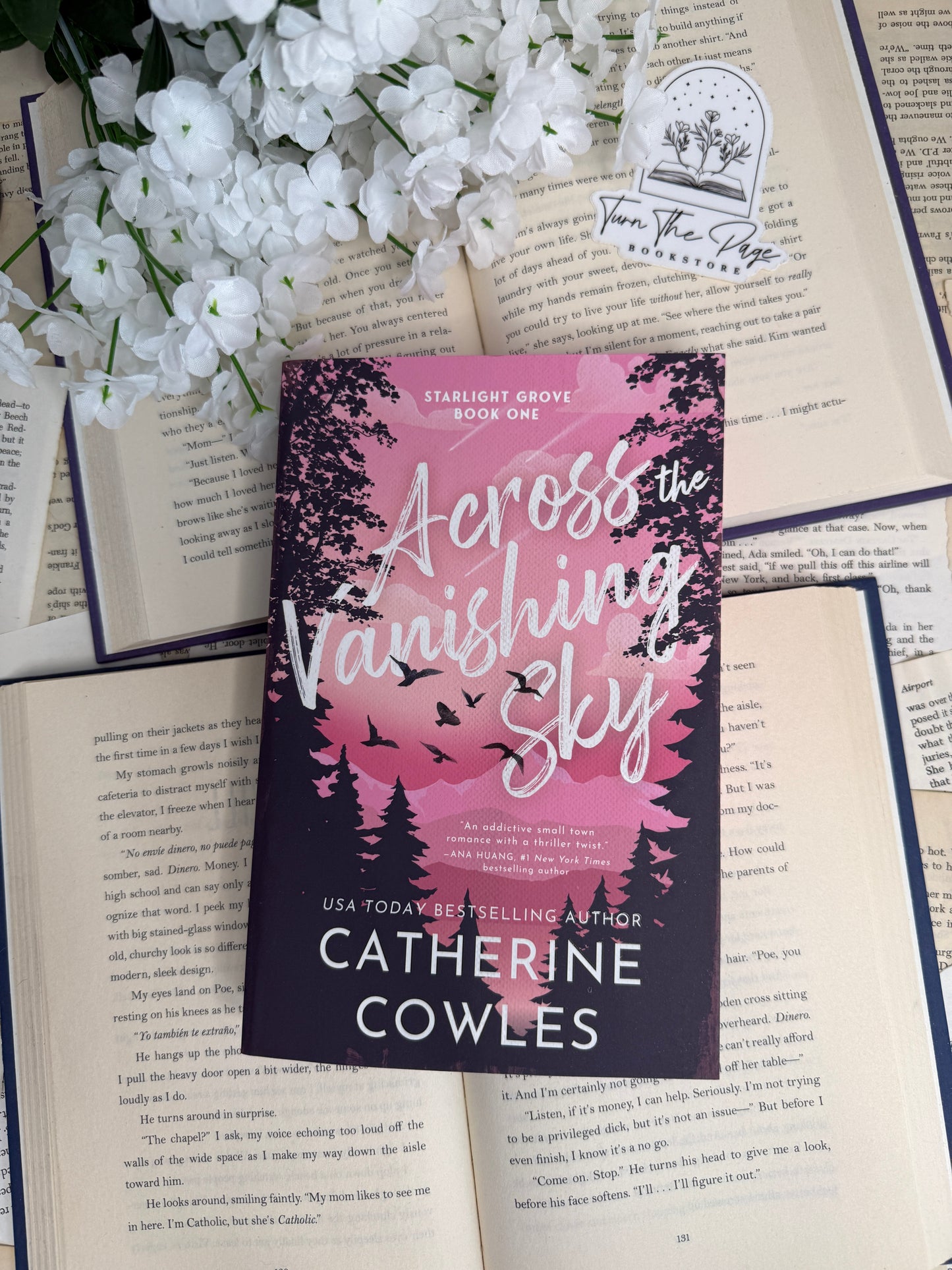 Across the Vanishing Sky by Catherine Cowles