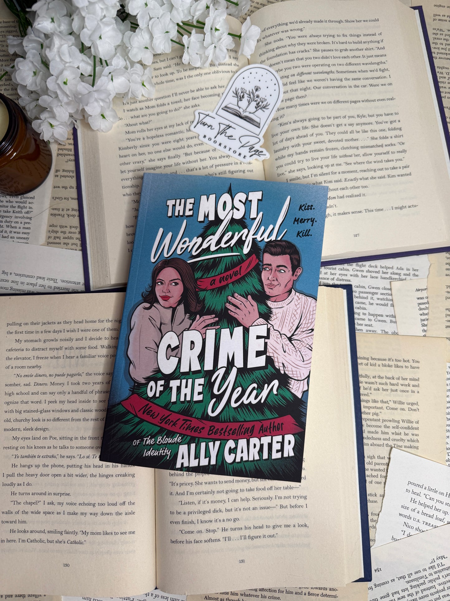 The Most Wonderful Time of the Year by Ally Carter