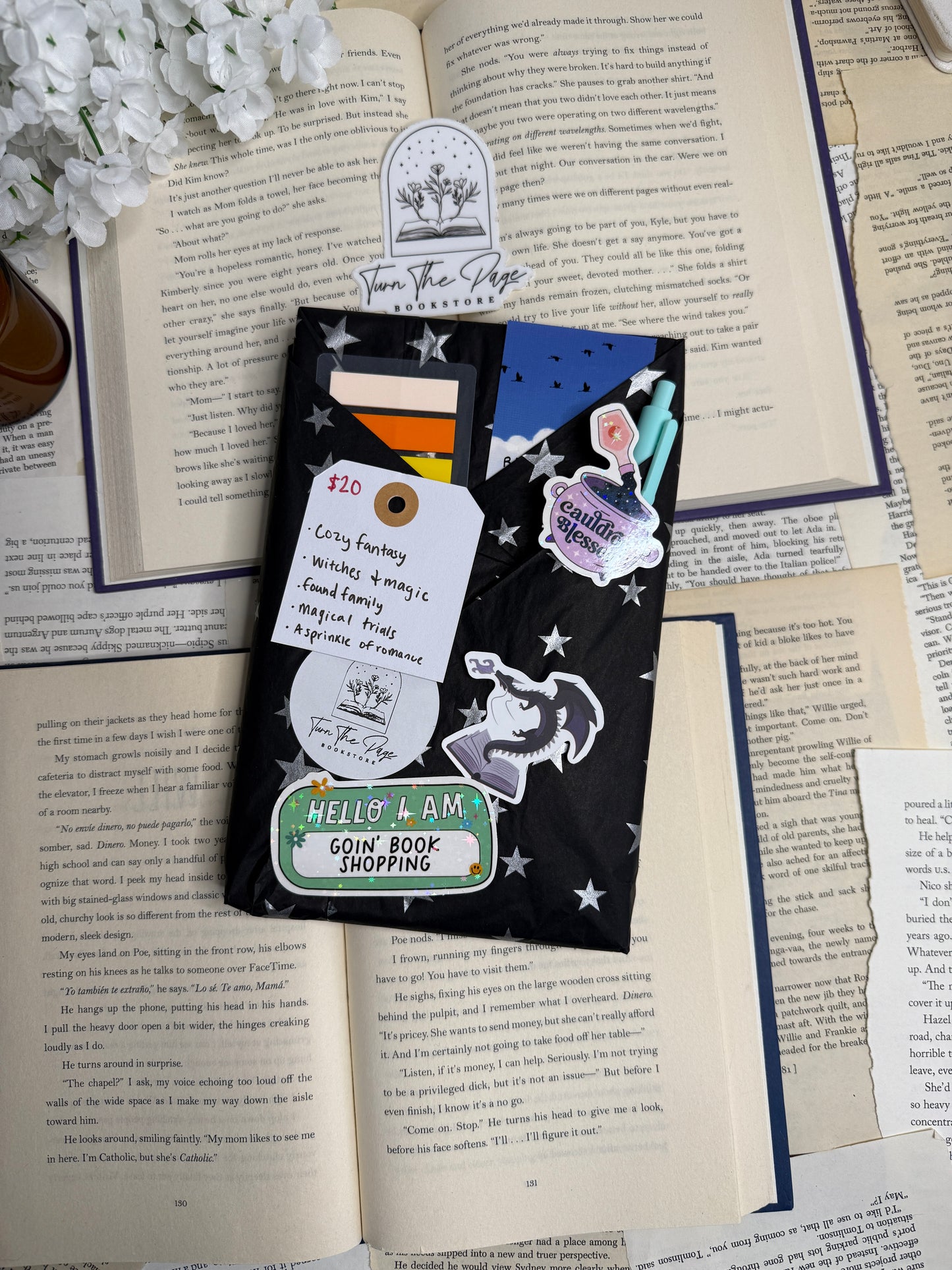 Cozy Fantasy Mystery Book