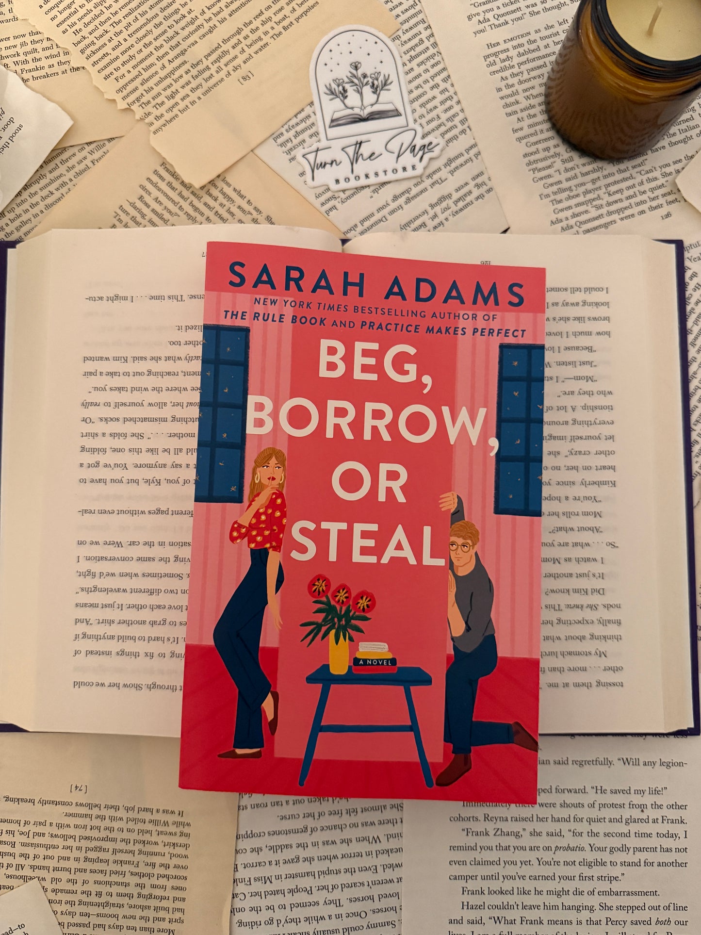 Beg, Borrow, or Steal by Sarah Adams