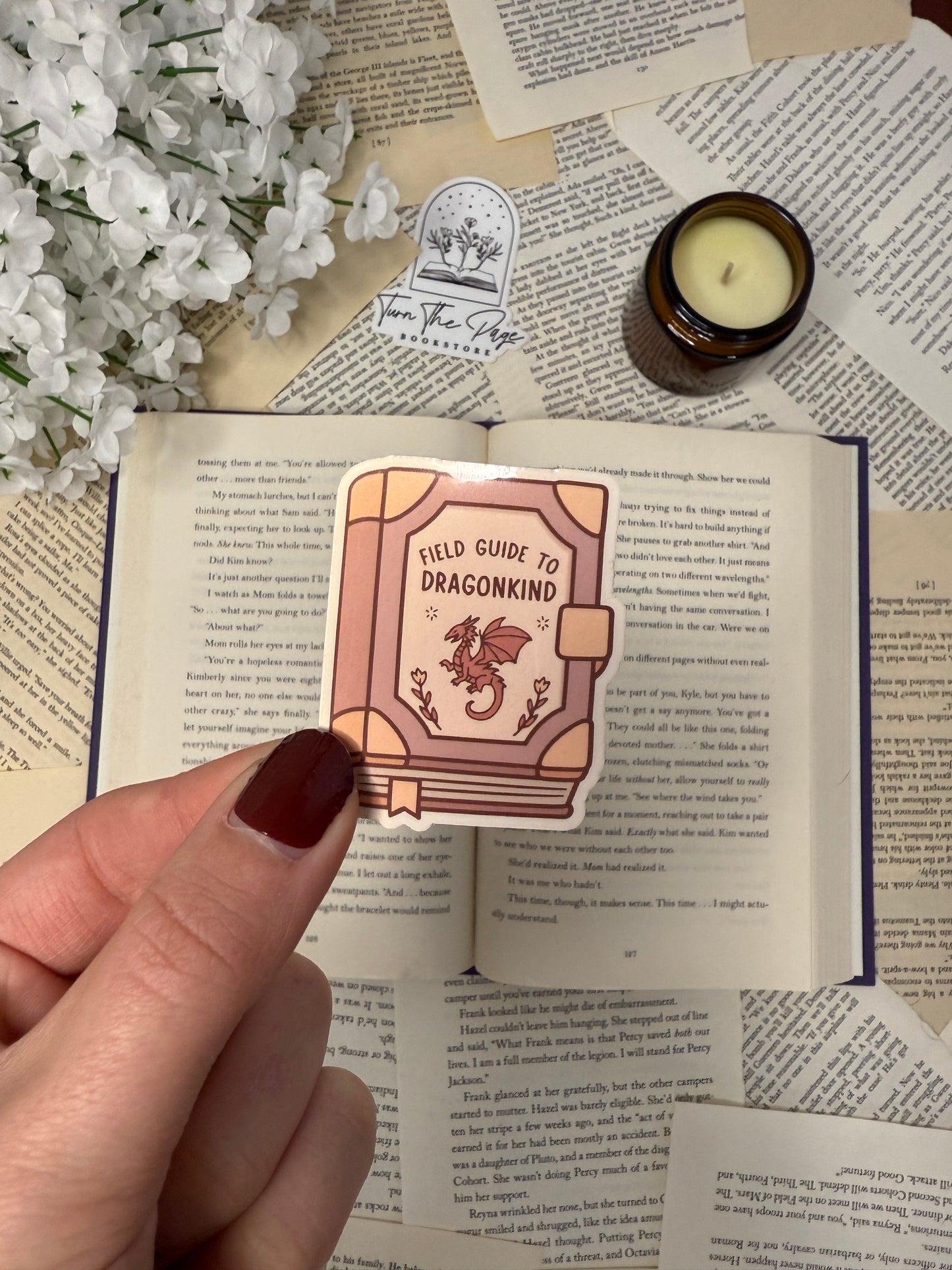 Field Guide to Dragonkind Vinyl Sticker