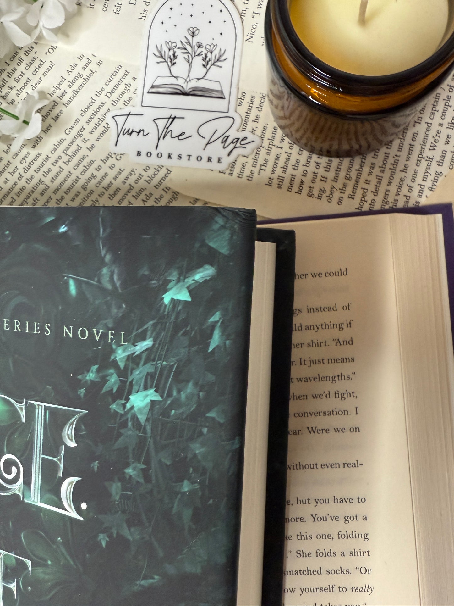 Once the Skies Fade by Vanessa Rasanen - Author Goodies Included