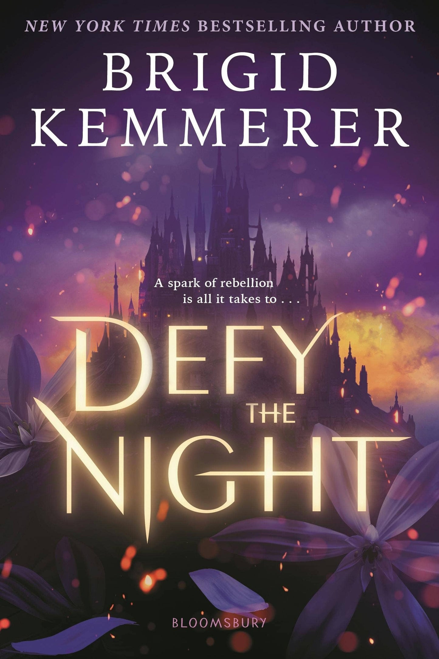 Defy The Night by Brigid Kemmerer