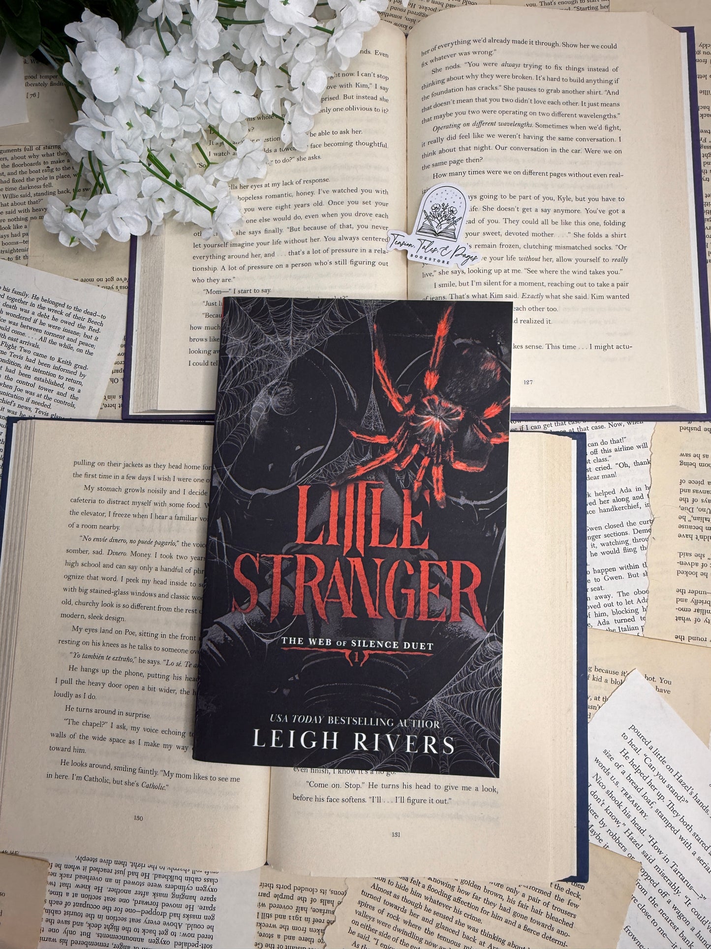 Little Stranger by Leigh Rivers