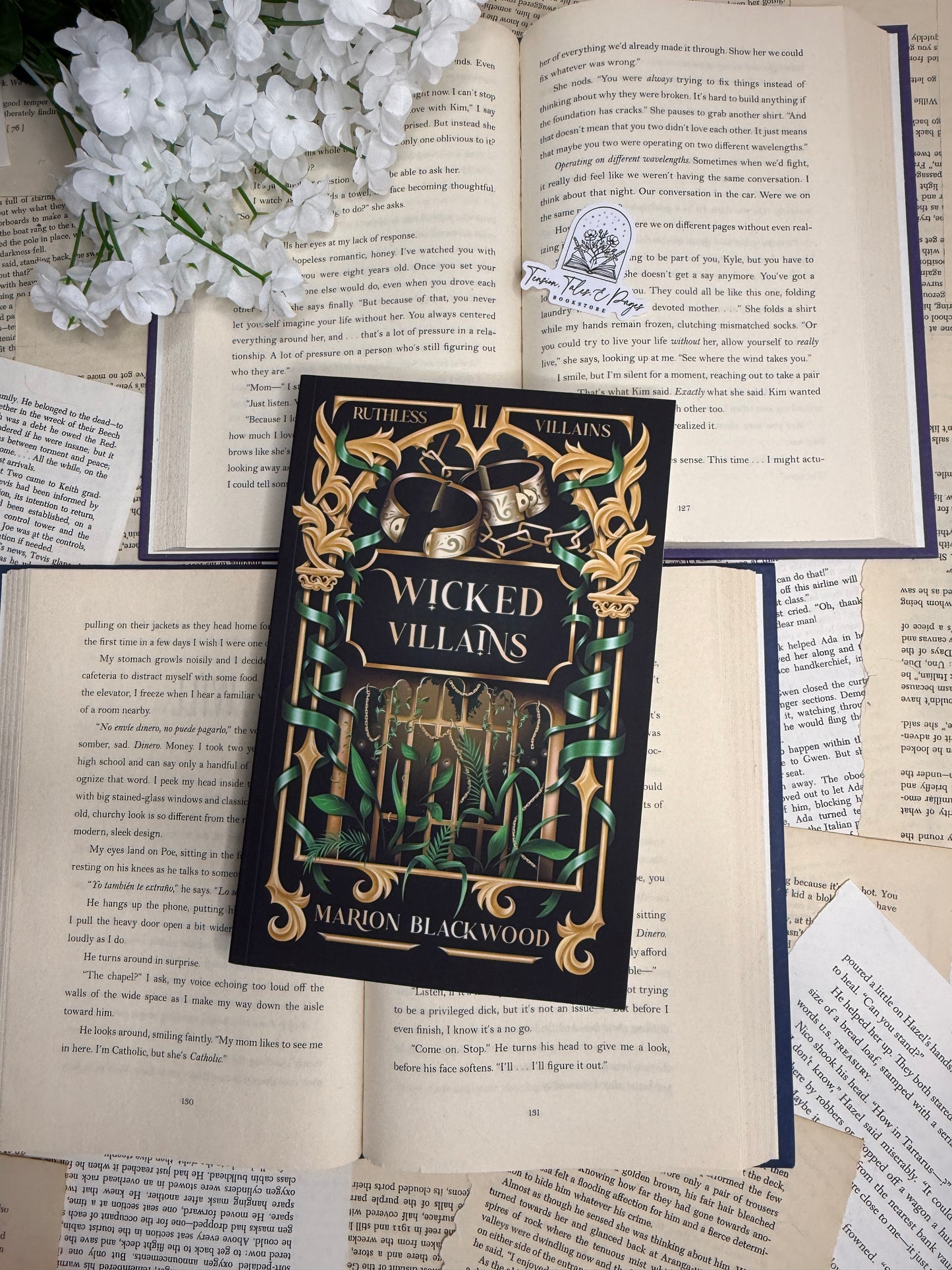 Wicked Villains by Marion Blackwood