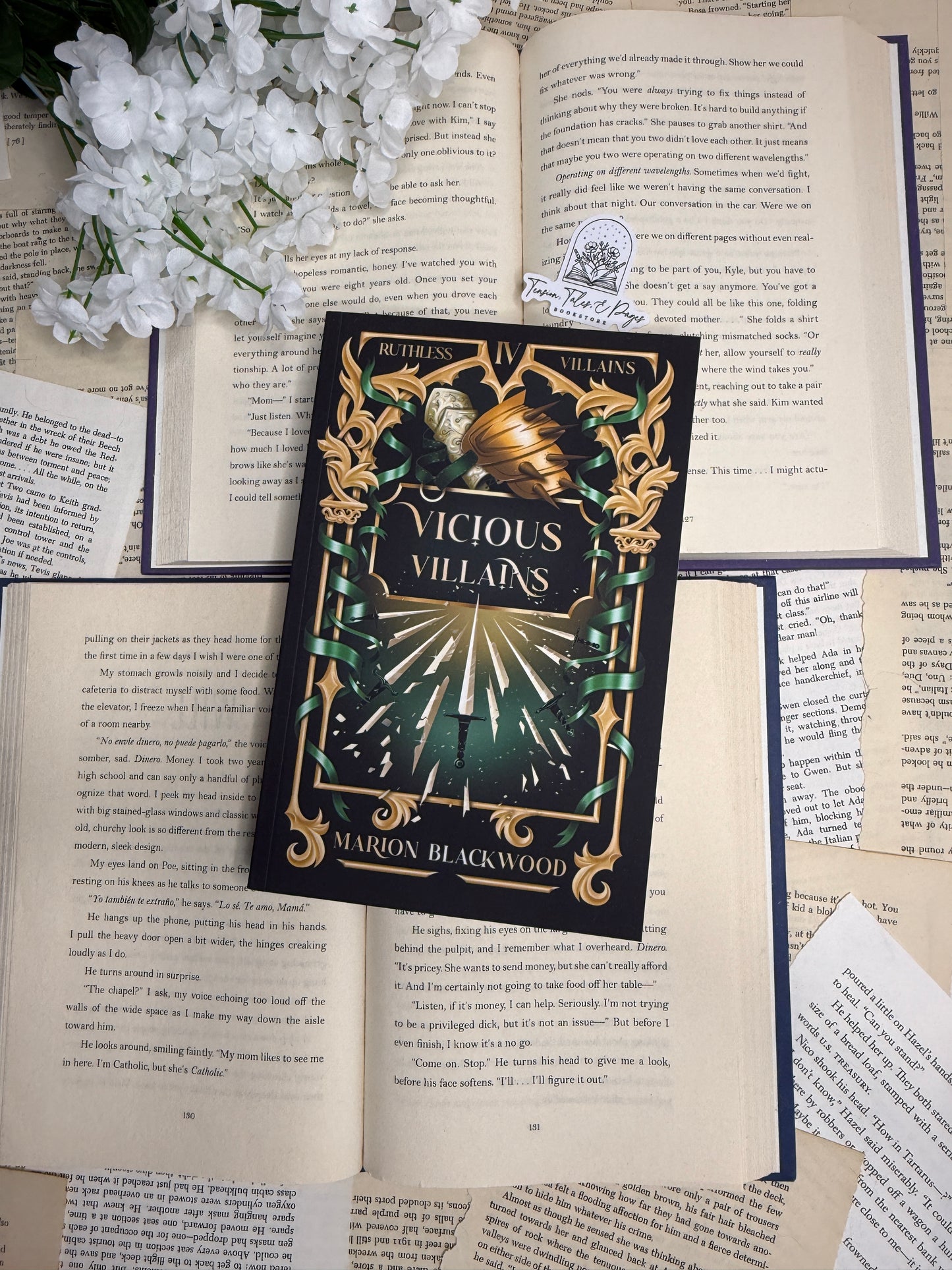 Vicious Villains by Marion Blackwood