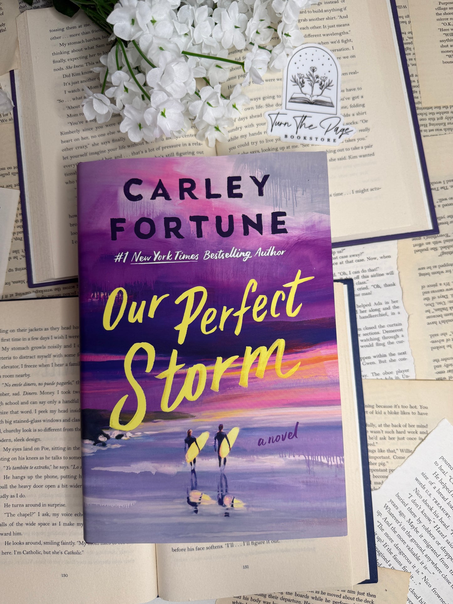Our Perfect Storm by Carley Fortune