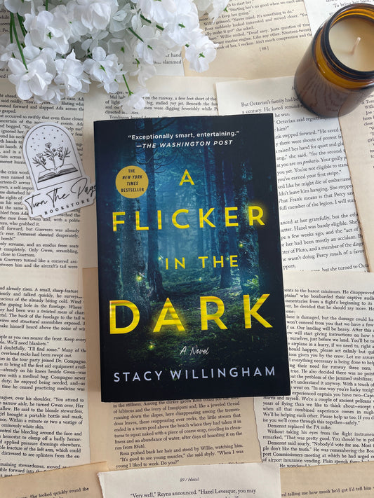 A Flicker in the Dark by Stacy Willingham