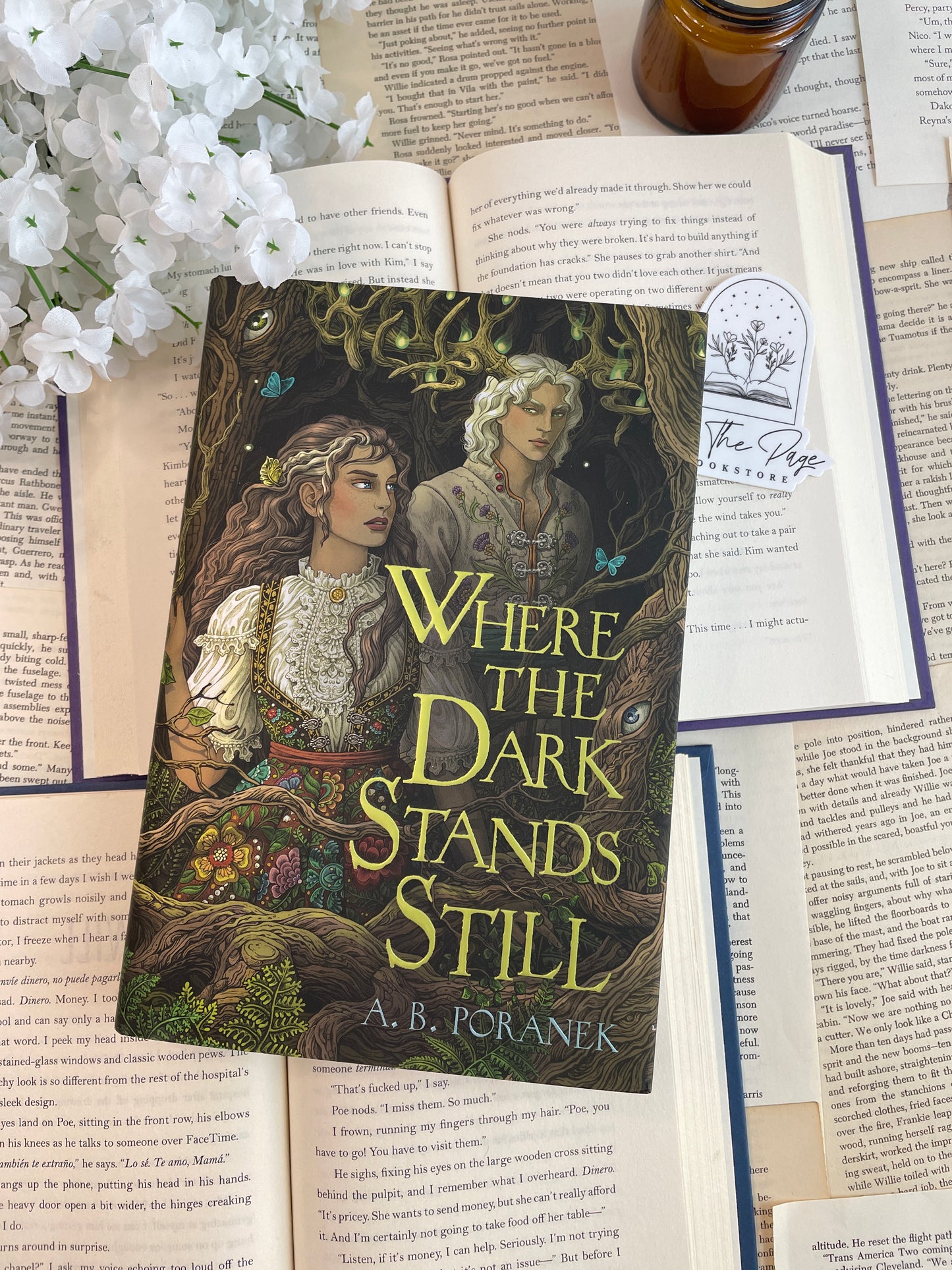 Where the Dark Stands Still by A.B. Poranek