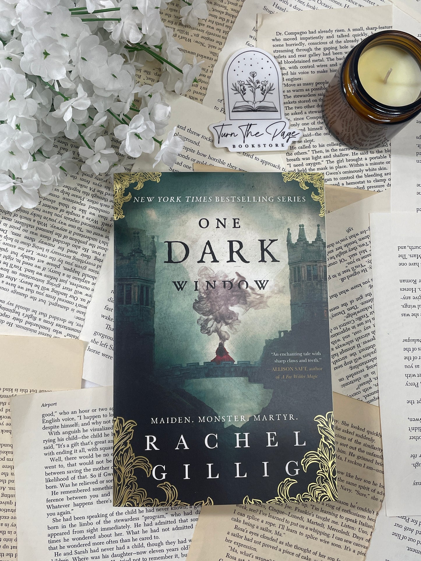 Slight Damage: One Dark Window by Rachel Gillig