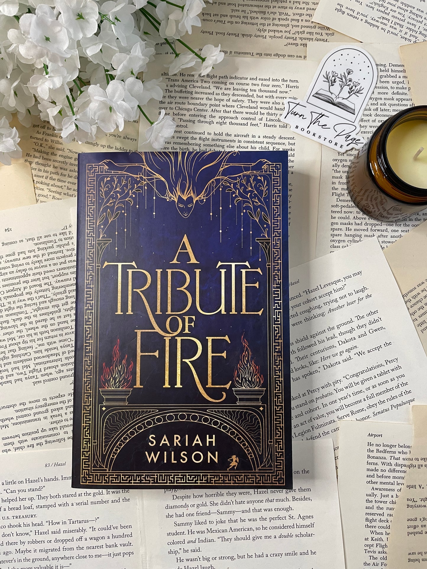 A Tribute of Fire by Sariah Wilson