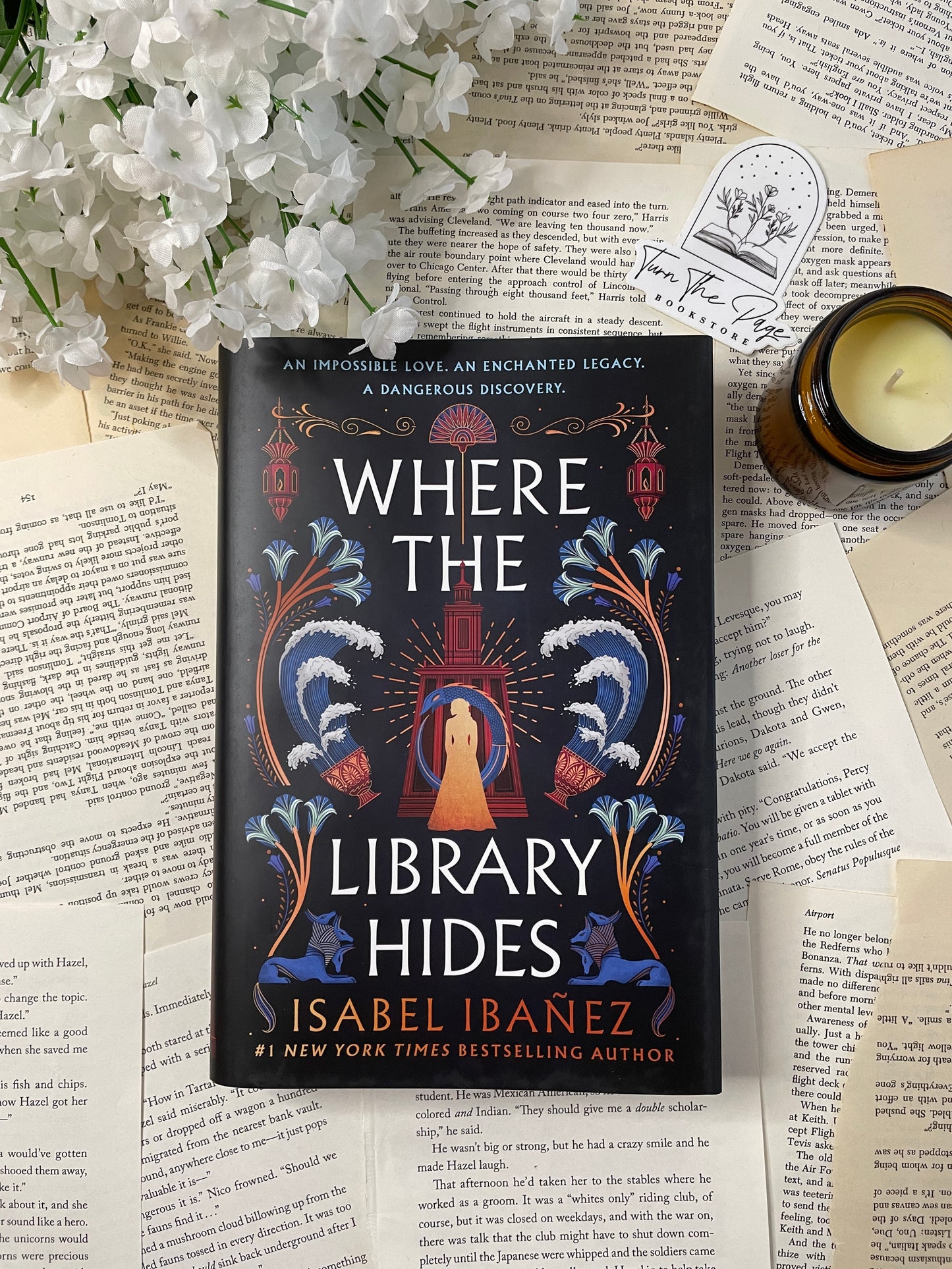 Where the Library Hides by Isabel Ibañez