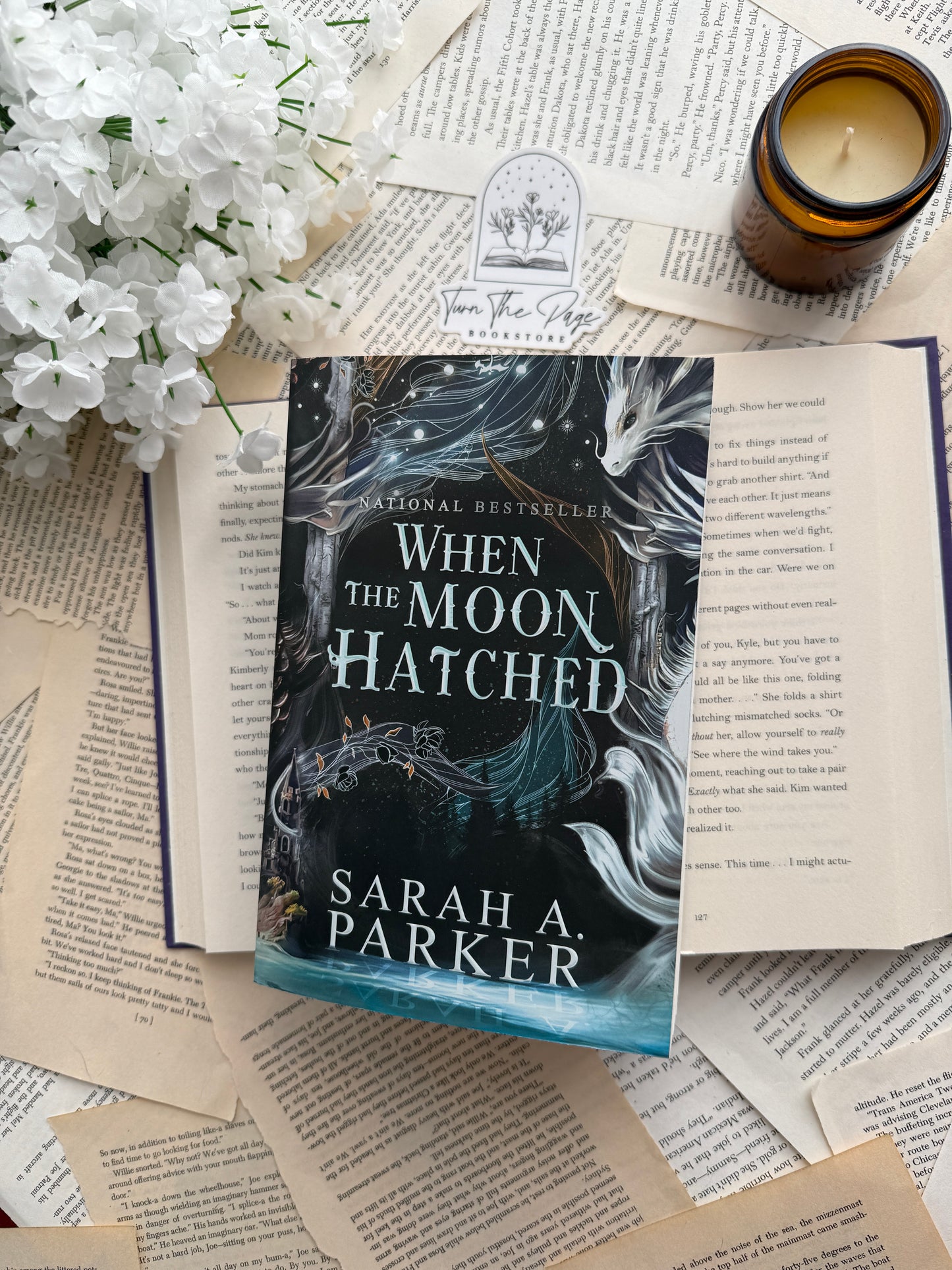 When The Moon Hatched by Sarah A Parker