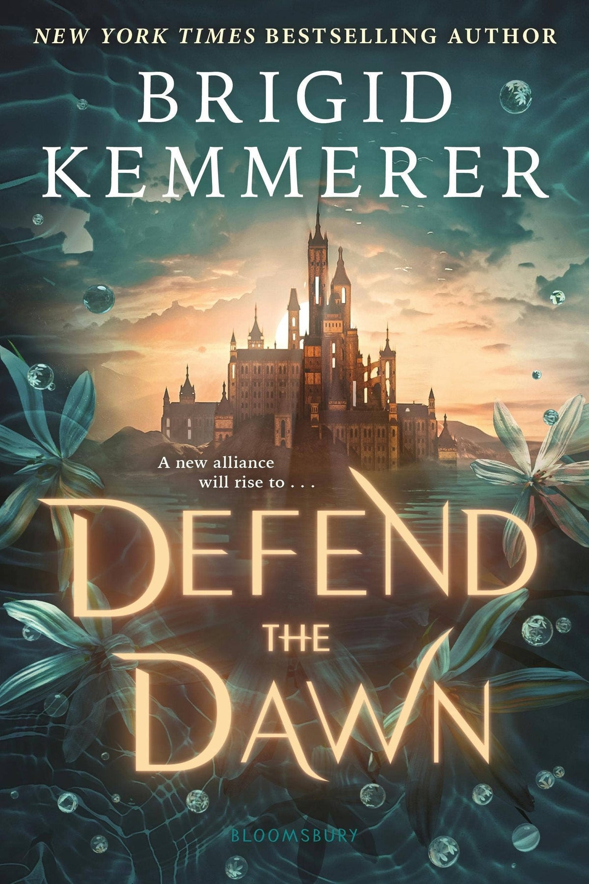 Defend The Dawn by Brigid Kemmerer