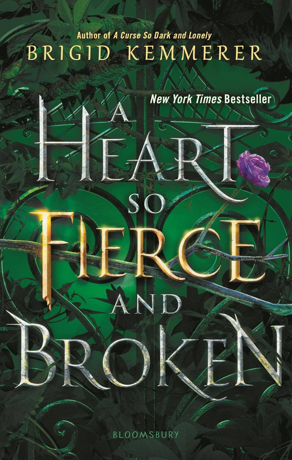 Heart So Fierce And Broken by Brigid Kemmerer